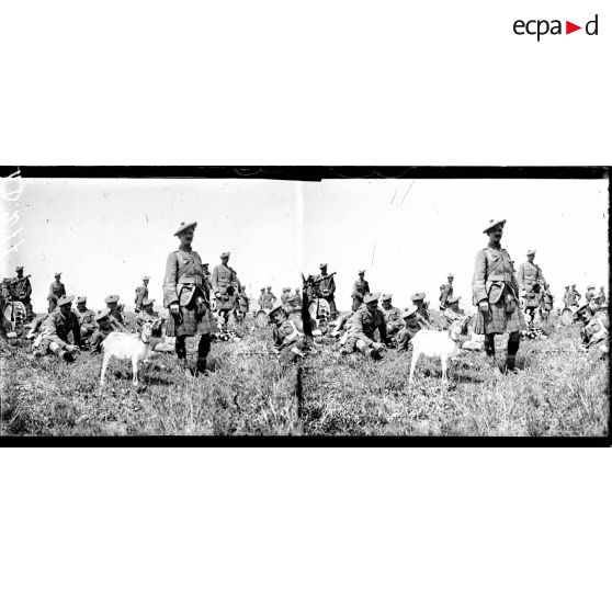 Remise de la fourragère à un régiment anglais. Après la cérémonie : soldats écossais et leur chèvre porte bonheur. [légende d'origine]