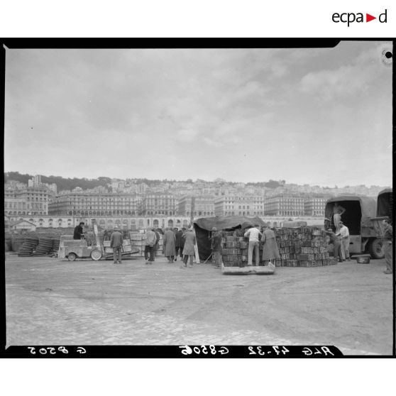 Plan d'ensemble de materiel lourd débarqué et stocké sur le port d'Alger, à l'aide d'un engin de levage et de manutention.