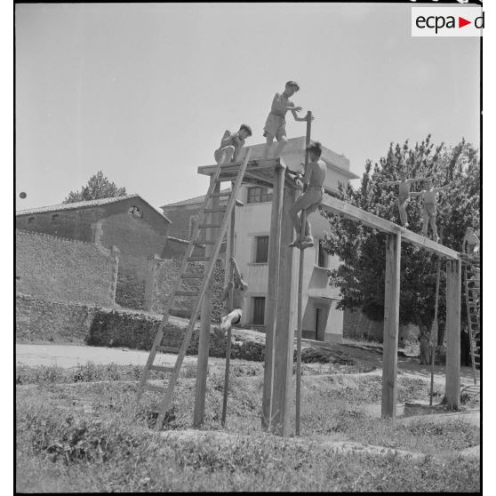 Des élèves de l'Ecole militaire préparatoire nord-africaine (EMPNA) de Miliana effectuent des exercies de gymnastique sur une structure en bois, en plein air.