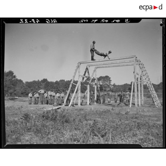 Démonstration sportive lors de la visite du camp de Zeralda par le général Olleris.