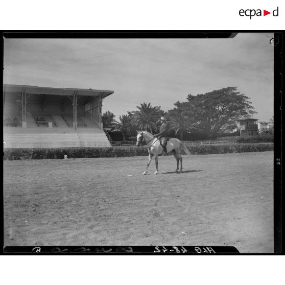 Présentation d'un cheval et de son cavalier, lors d'un concours de cheval de selle en Algérie.