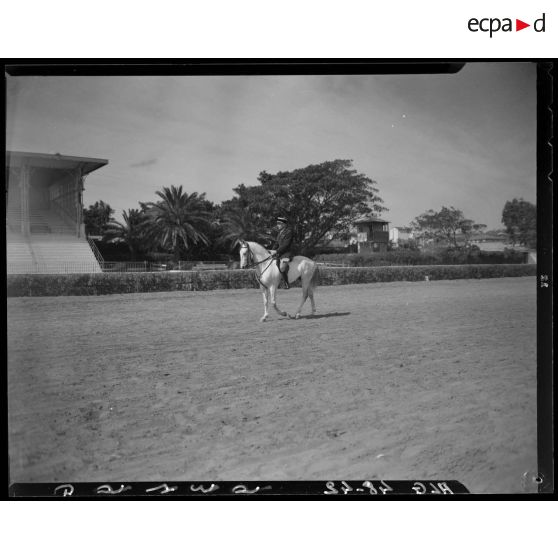 Présentation d'un cheval et de son cavalier, lors d'un concours de cheval de selle en Algérie.