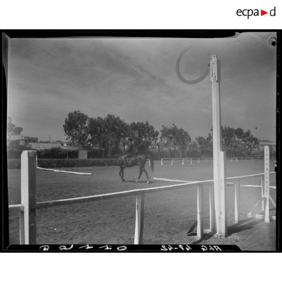 Présentation d'un cheval et de son cavalier, lors d'un concours de cheval de selle en Algérie.