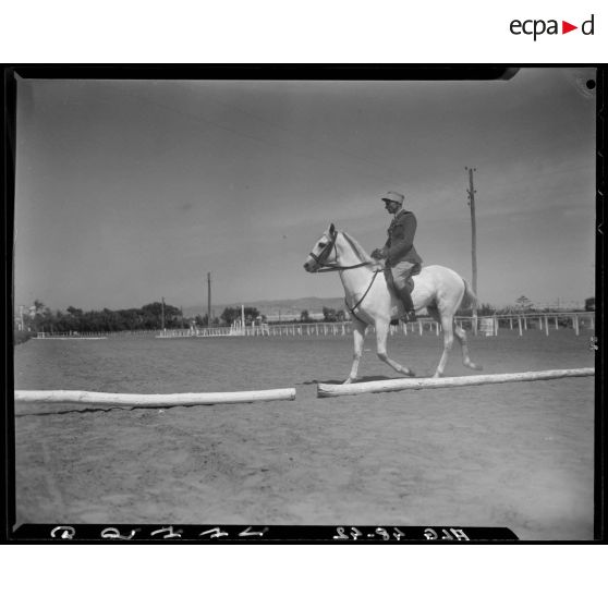 Présentation d'un cheval et de son cavalier, lors d'un concours de cheval de selle en Algérie.