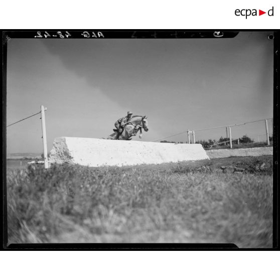 Un cheval et son cavalier franchissent un obstacle, lors d'un concours de cheval de selle en Algérie.