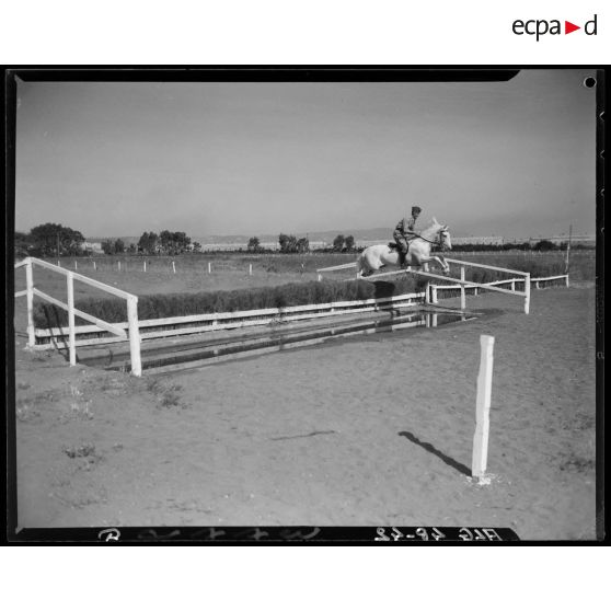 Un cheval et son cavalier franchissent un obstacle, lors d'un concours de cheval de selle en Algérie.