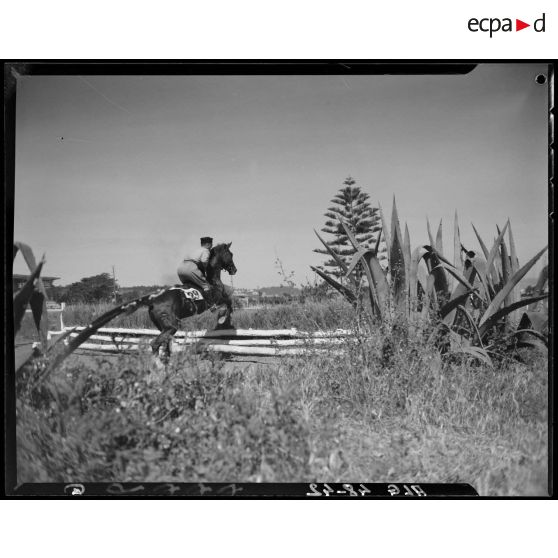 Un cheval et son cavalier franchissent un obstacle, lors d'un concours de cheval de selle en Algérie.