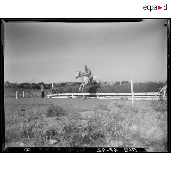 Un cheval et son cavalier franchissent un obstacle, lors d'un concours de cheval de selle en Algérie.