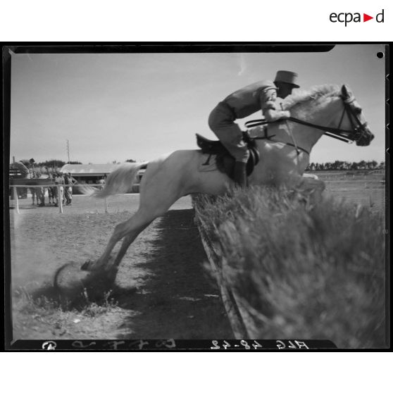 Un cheval et son cavalier franchissent un obstacle, lors d'un concours de cheval de selle en Algérie.