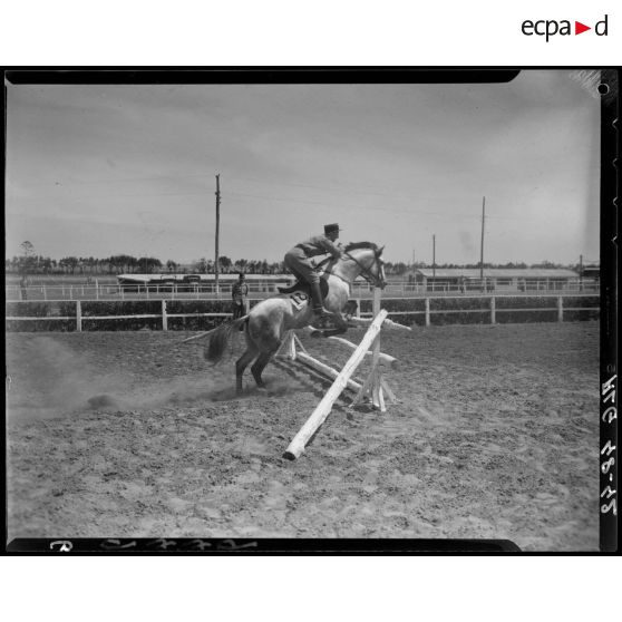 Un cheval et son cavalier franchissent un obstacle, lors d'un concours de cheval de selle en Algérie.