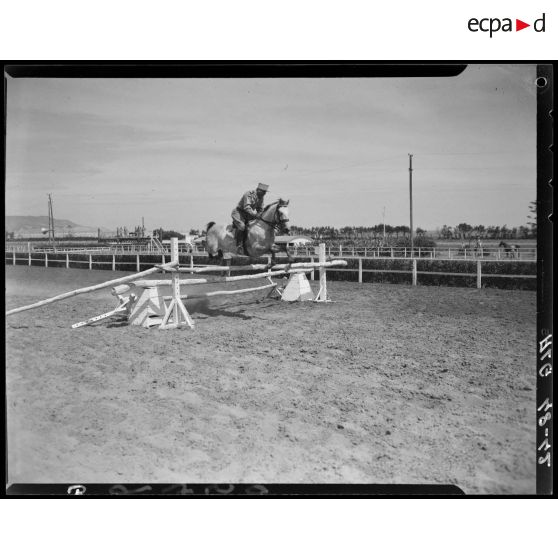 Un cheval et son cavalier franchissent un obstacle, lors d'un concours de cheval de selle en Algérie.