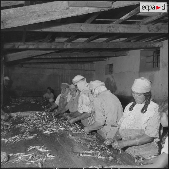 Vie quotidienne de fusiliers marins. [Description en cours]