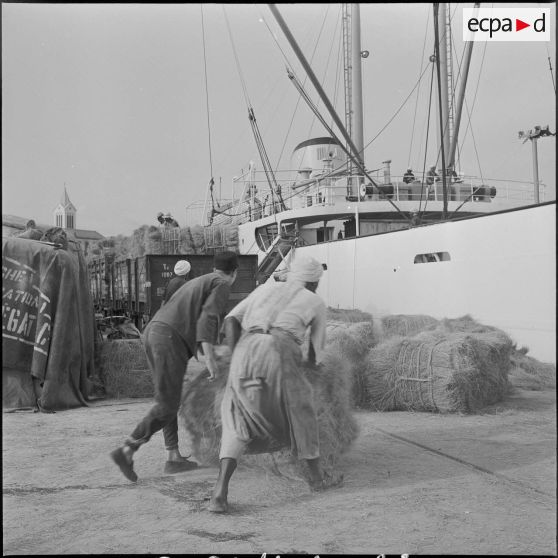 Ouvriers au travail dans un port. [Description en cours]