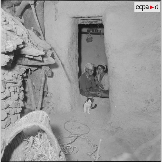 Les artilleurs de la 11e batterie du 3/65e RA de Tarchat. [Description en cours]