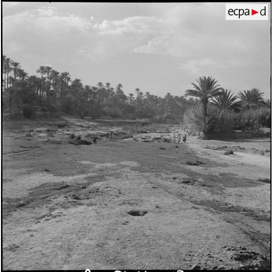 Une oasis. [Description en cours]