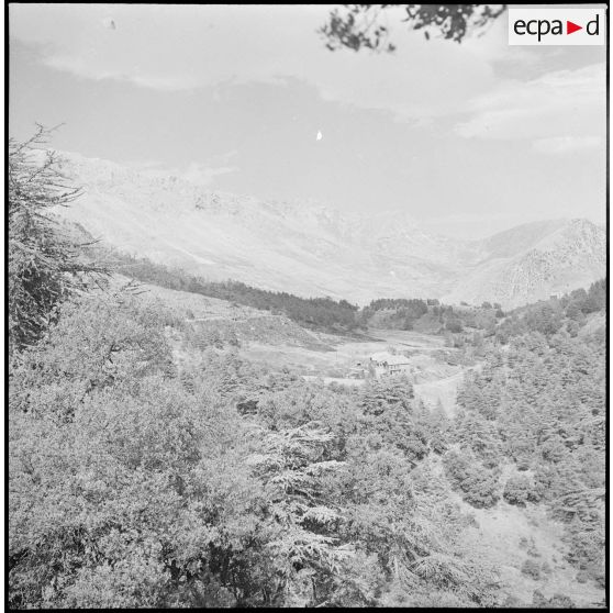 Le 22e BCA à Bouira. [Description en cours]