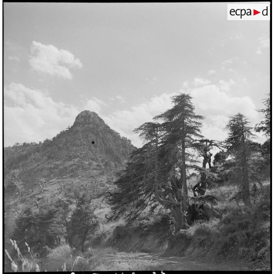 Le 22e BCA à Bouira. [Description en cours]