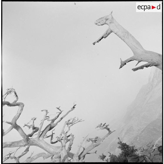 Le 22e BCA à Bouira. [Description en cours]