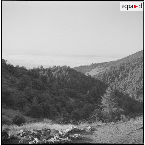 Le 22e BCA à Bouira. [Description en cours]