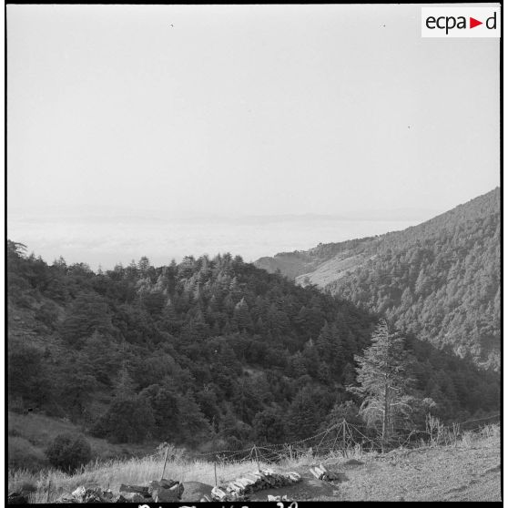 Le 22e BCA à Bouira. [Description en cours]