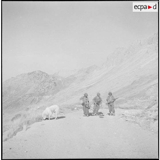 Le 22e BCA à Bouira. [Description en cours]