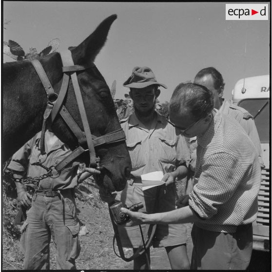 Enregistrement de messages audios pour une émission radiodiffusée. [Description en cours]