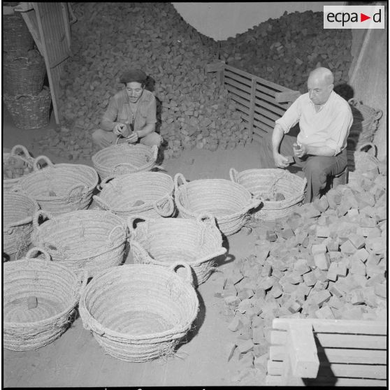 Entreprise de fabrication de pipes. [Description en cours]