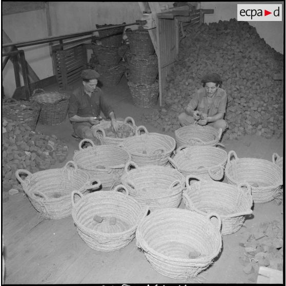 Entreprise de fabrication de pipes. [Description en cours]