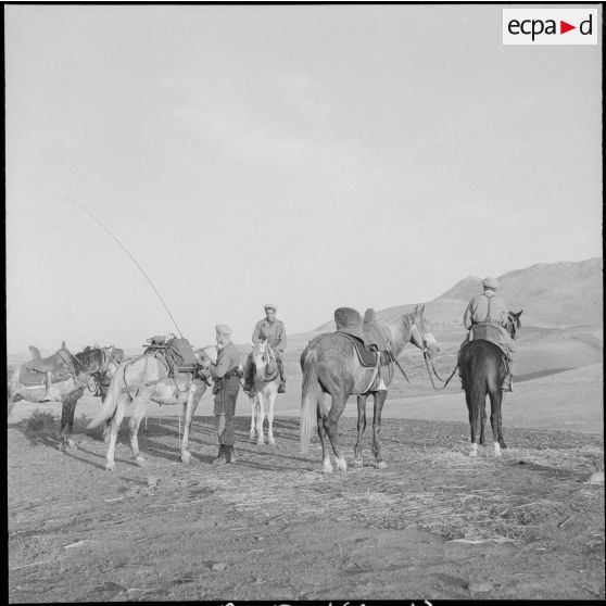 Le 2e groupe nomade à Teniet-el-Haad. [Description en cours]