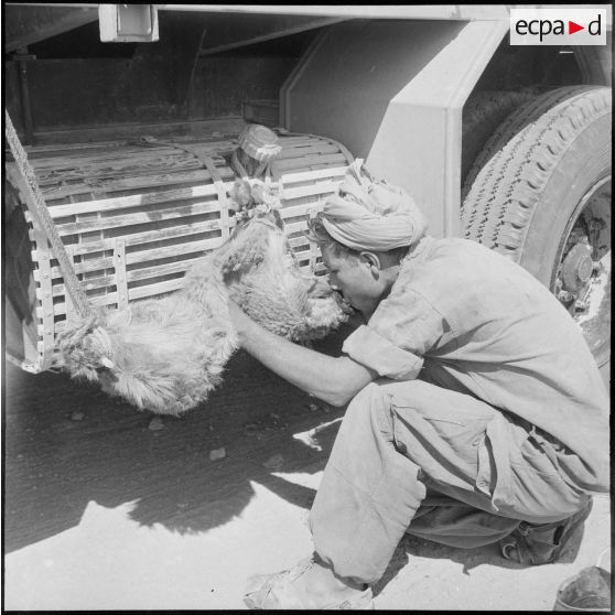 La 3e CAST de Colomb-Béchar à Tindouf. [Description en cours]