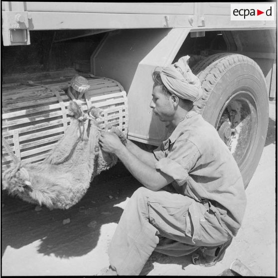 La 3e CAST de Colomb-Béchar à Tindouf. [Description en cours]