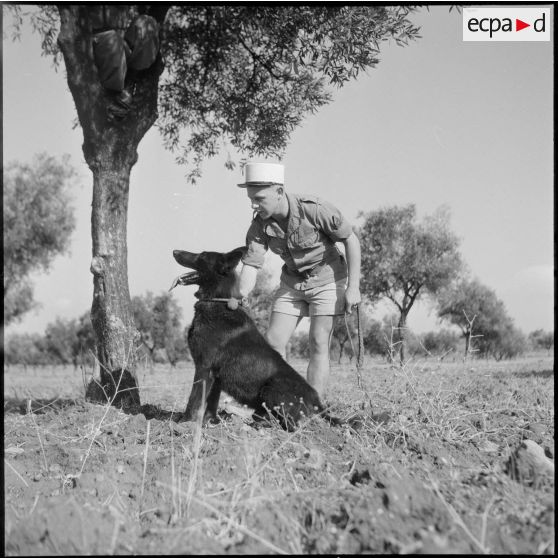 Le 17e peloton cynophile du 5e REI stationné à Turenne. [Description en cours]