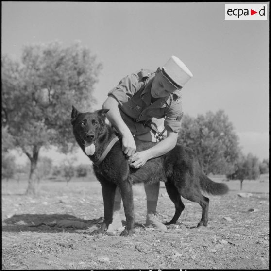 Le 17e peloton cynophile du 5e REI stationné à Turenne. [Description en cours]