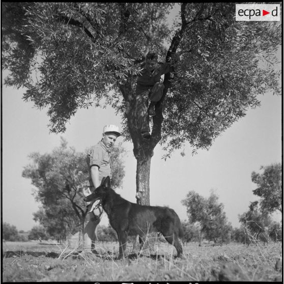Le 17e peloton cynophile du 5e REI stationné à Turenne. [Description en cours]