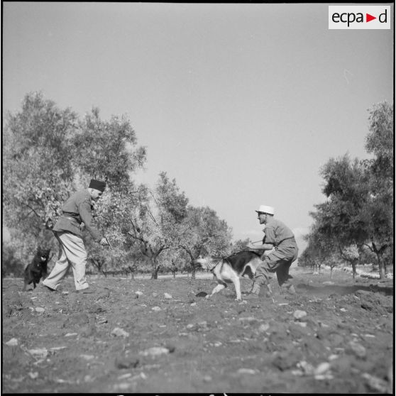 Le 17e peloton cynophile du 5e REI stationné à Turenne. [Description en cours]