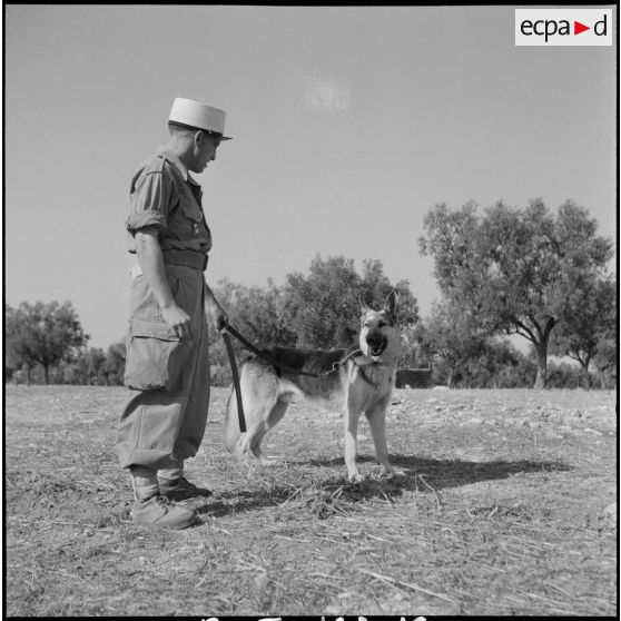 Le 17e peloton cynophile du 5e REI stationné à Turenne. [Description en cours]