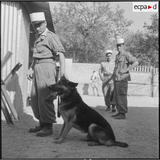 Le 17e peloton cynophile du 5e REI stationné à Turenne. [Description en cours]