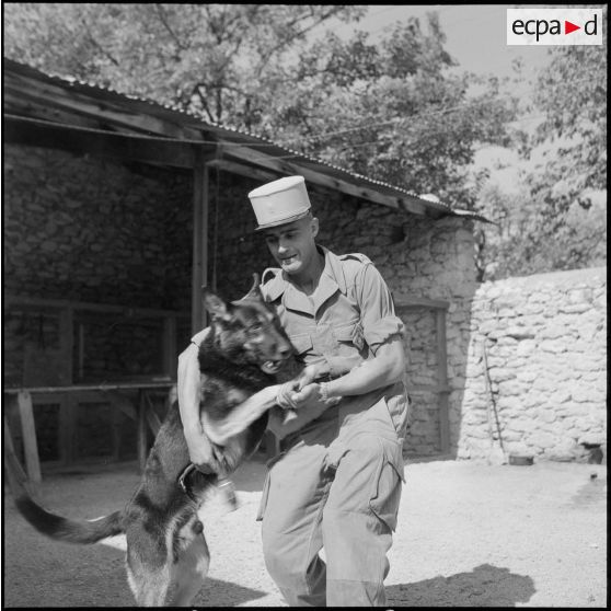 Le 17e peloton cynophile du 5e REI stationné à Turenne. [Description en cours]