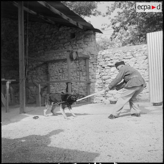 Le 17e peloton cynophile du 5e REI stationné à Turenne. [Description en cours]