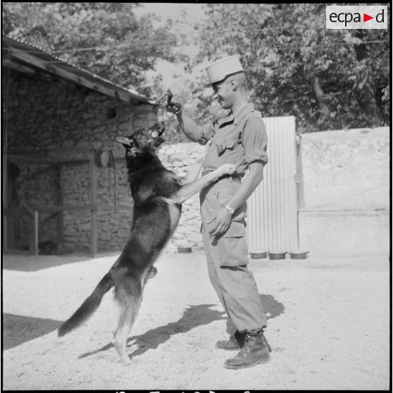 Le 17e peloton cynophile du 5e REI stationné à Turenne. [Description en cours]