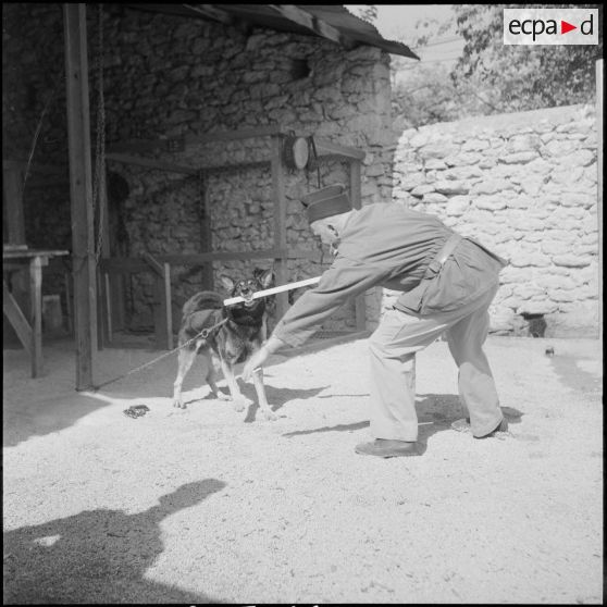 Le 17e peloton cynophile du 5e REI stationné à Turenne. [Description en cours]