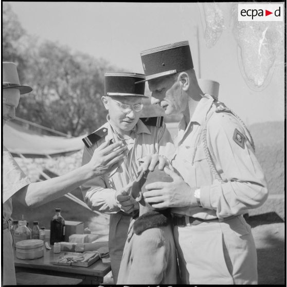 Assistance médicale du 5e REI (5e régiment étranger d'infanterie) à Turenne.  [Description en cours]