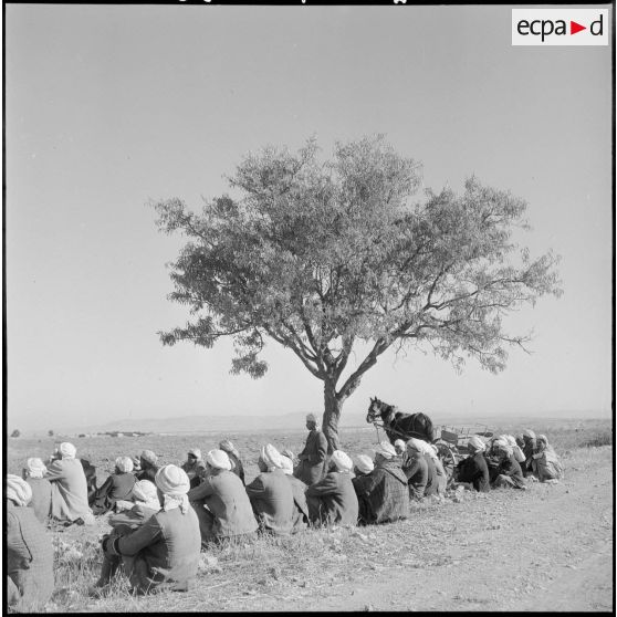 Distribution de cartes d'identité à Ouled-Riah. [Description en cours]