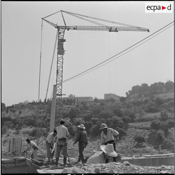 Construction de la cité de l'Avenir près de Bab-el-Oued. [Description en cours]