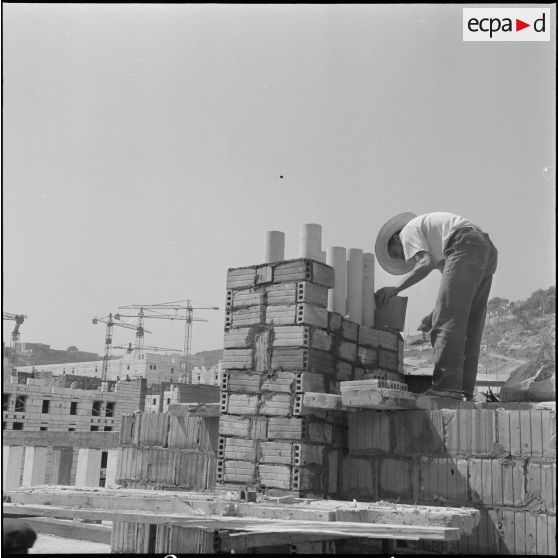 Construction de la cité de l'Avenir près de Bab-el-Oued. [Description en cours]