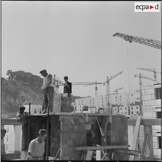 Construction de la cité de l'Avenir près de Bab-el-Oued. [Description en cours]
