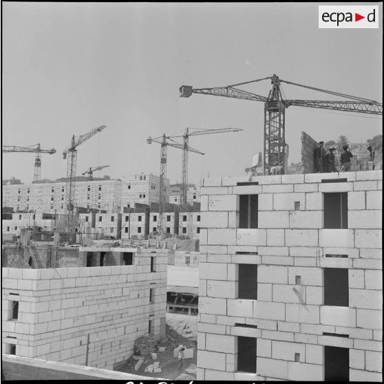 Construction de la cité de l'Avenir près de Bab-el-Oued. [Description en cours]