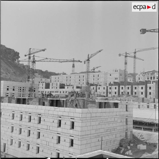 Construction de la cité de l'Avenir près de Bab-el-Oued. [Description en cours]