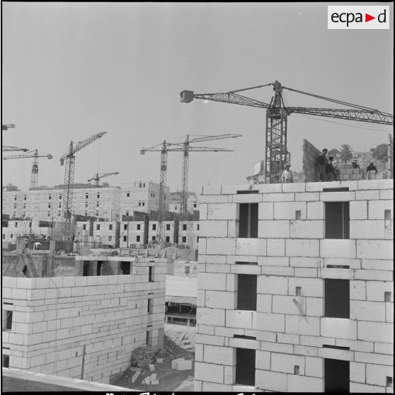 Construction de la cité de l'Avenir près de Bab-el-Oued. [Description en cours]