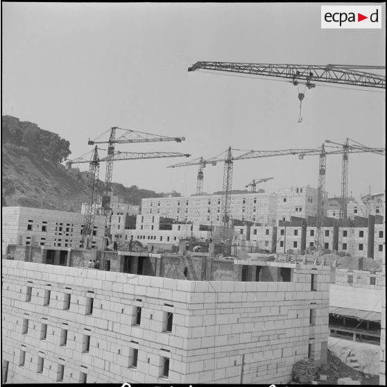 Construction de la cité de l'Avenir près de Bab-el-Oued. [Description en cours]